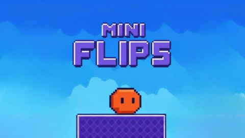 Mini Flips