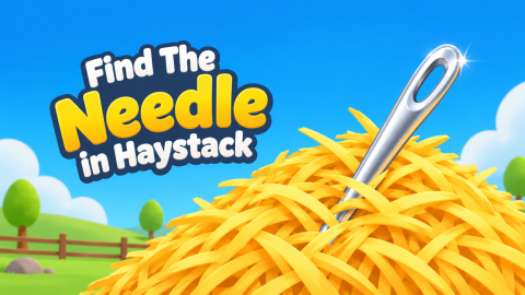 Find The Needle in Haystack