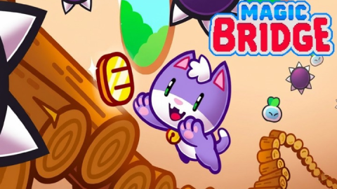 Magic Bridge